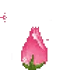 🌷