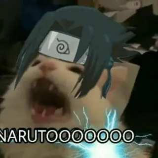 😡 Sasuke Uchiha Naruto NARUTOOOOOOOOOOO anime, cat, meme, sasuke, naruto telegram sticker