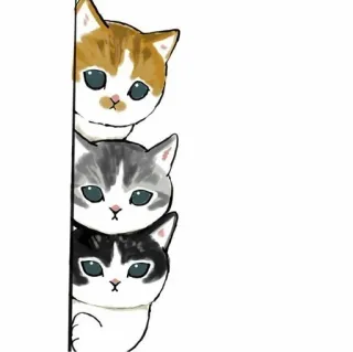 💗 kot, kociak, słodki, zwierzęta, zwierzak, podglądanie telegram sticker