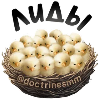 🍲 ЛИДЫ kippen, vogels, schattig, dieren, nest telegram sticker