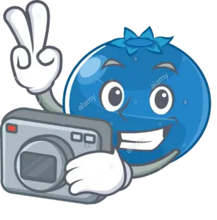 📷 myrtille, dessin animé, appareil photo, signe de paix, fruit, illustration, autocollant whatsapp sticker