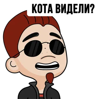 😺 КОТА ВИДЕЛИ? kartun, pria, kacamata, rusia, pertanyaan telegram sticker