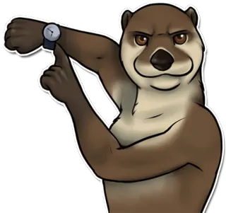 🕜 berang-berang, hewan, jam tangan, kartun, menunjuk, waktu, jadwal, meme whatsapp sticker