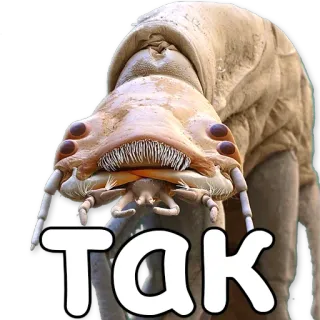 ☝ Так sticker, creature, monster, russian, cyrillic telegram sticker