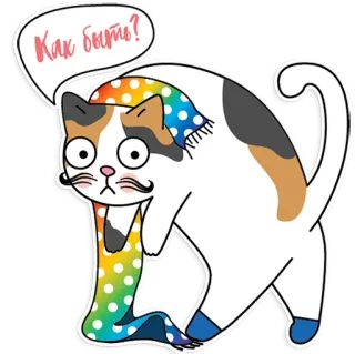 🤓 Как быть? cat, question, scarf, russian, sticker, rainbow telegram sticker