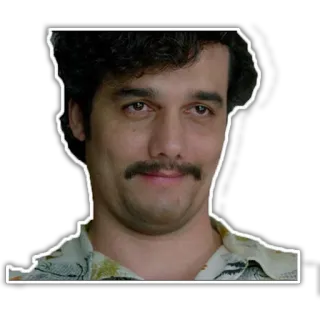 😏 Pablo Escobar Narcos drug lord, colombia, crime, mustache, netflix telegram sticker
