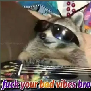 😡 fuck your bad vibes bro แรคคูน, แว่นกันแดด, ตลก, ขำ, มีม, กีตาร์ telegram sticker