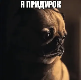 👱 Я ПРИДУРОК carlin, chien, mème, drôle, animal telegram sticker