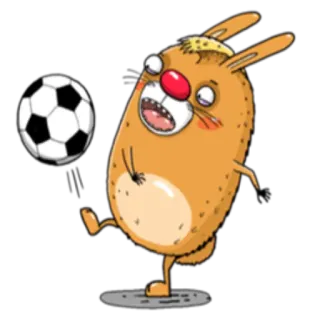 ⚽️ coniglio, cartone animato, calcio, animale, divertente, sport whatsapp sticker