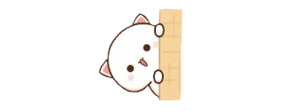 👀 귀여운, 카와이, 고양이, 동물, 스티커 telegram sticker