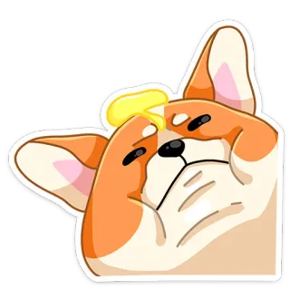 🥴 หมา, คอร์กี้, เนย, มีม, สติกเกอร์ telegram sticker