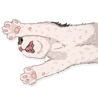 😺 gatto, animale, carino, animale domestico, adesivo telegram sticker
