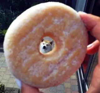 😑 chien, donut, shiba inu, nourriture, mignon, animal, mème telegram sticker