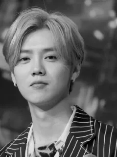 🌊 Luhan idol, actor, Luhan, singer, black and white telegram sticker