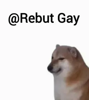 😂 @Rebut Gay 개, 밈, 불쾌한 telegram sticker