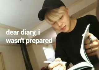 ▫ dear diary, i wasn't prepared diario, meme, testo whatsapp sticker