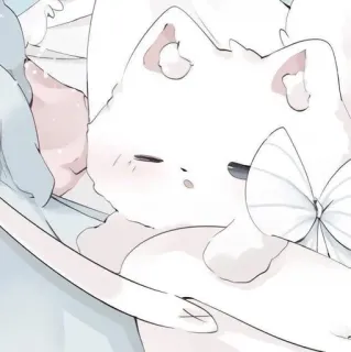 🕸️ 猫, 小猫, 可爱, 动物, 白色, 卡哇伊 whatsapp sticker