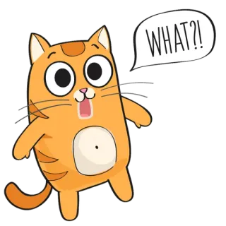 🐱 WHAT?! chat, dessin animé, choqué, surpris, question, animal, orange whatsapp sticker