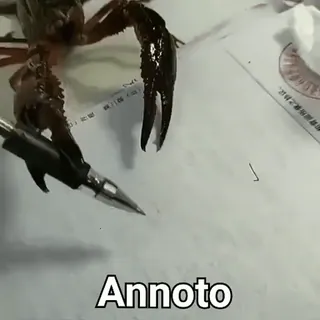 🧐 Annoto cangrejo, bolígrafo, animal, escritura, gracioso, macro whatsapp sticker
