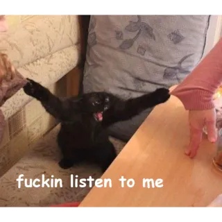 😤 fuckin listen to me kot, zły, krzyczy, mem, śmieszne telegram sticker