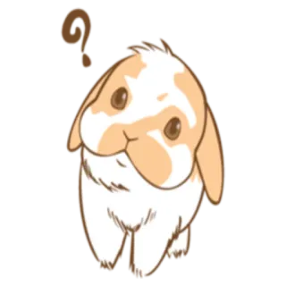 ❔ kelinci, imut, hewan, peliharaan, telinga lop whatsapp sticker
