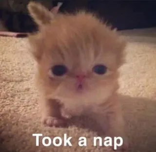 🥱 Took a nap telegram sticker