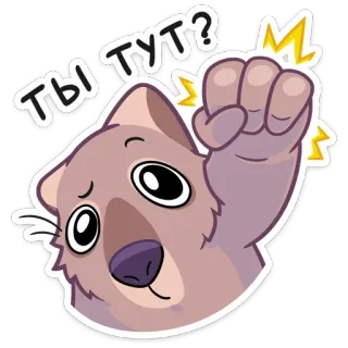 🙃 ТЫ ТУТ? gato, nós dos dedos, russo, desenho animado, pergunta telegram sticker