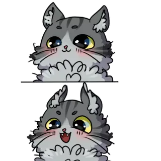 😀 mèo, mèo con, động vật, dễ thương, nhãn dán telegram sticker