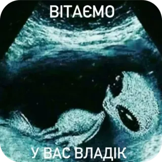 🖼 Alien ВІТАЄМО У ВАС ВЛАДІК telegram sticker