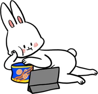 💻 coniglio, coniglietto, snack, cibo, carino, cartone animato, animale telegram sticker