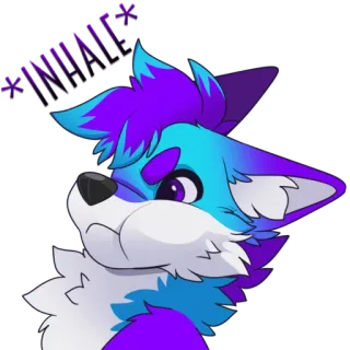 😳 *WHAT?* animal, zorro, dibujos animados, furry, pregunta, expresión, morado, azul telegram sticker