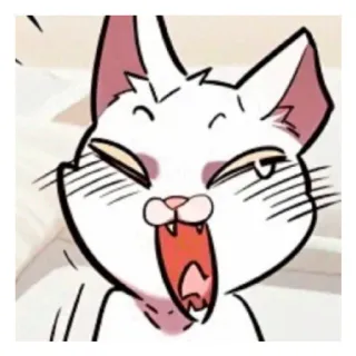 😹 Katze, Tier, süß, Meme, lustig telegram sticker
