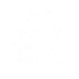 🐞