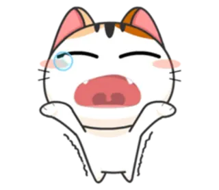 😩 猫, アニメ, 可愛い, 悲しい, 泣く, 動物 telegram sticker