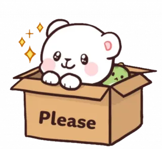 🥺 Please หมี, กล่อง, น่ารัก, สัตว์, คำขอ, คาวาอิ telegram sticker