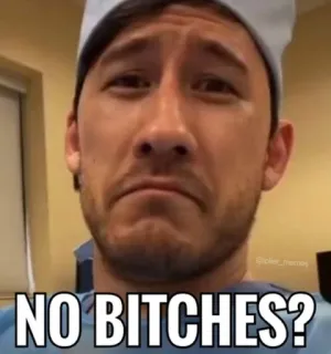 🙁 NO BITCHES? Meme, Drôle, Humour, Pas de copine, Triste, Pleurs telegram sticker