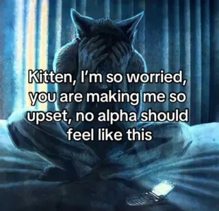 👿 Kitten, I'm so worried, you are making me so upset, no alpha should feel like this telegram sticker