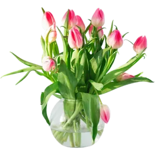 💐 ดอกไม้, ทิวลิป, ช่อดอกไม้, แจกัน, ทิวลิปสีชมพู, การจัดดอกไม้, ของตกแต่งบ้าน telegram sticker