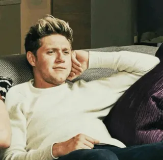 🥀 Niall Horan Niall Horan, One Direction, singer, celebrity, music, portrait telegram sticker