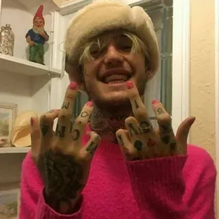 🖕 средние пальцы, оскорбительный, жест, татуированные руки, розовый свитер, шляпа telegram sticker