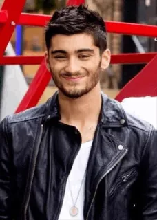 😺 Zayn Malik singer, celebrity, pop star, teen idol, fashion, portrait, man telegram sticker