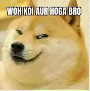🤔 WOH KOI AUR HOGA BRO doge, meme, chó, meme trên mạng, hài hước, vui nhộn telegram sticker