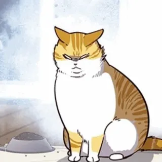 🐈 mèo, động vật, thú cưng, mèo mướp cam, nhãn dán telegram sticker