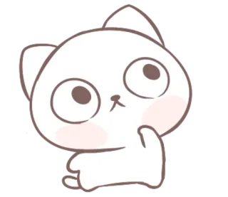 🧐 gato, adesivo, fofo, kawaii, animal, branco, desenho animado telegram sticker