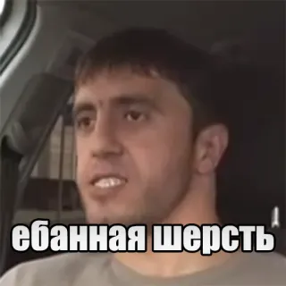 🤬 ебанная шерсть 侮辱, 攻撃的, ロシア語 telegram sticker