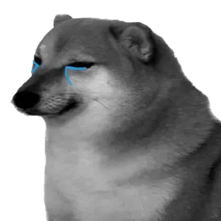 😢 Doge pies, mem, smutny, płacz, doge telegram sticker
