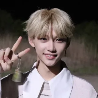 ☺️ Felix kpop, stray kids, felix, singer, peace sign, idol telegram sticker