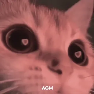 😍 AGM kot, zwierzę, zwierzak, słodki, domowy, ssak telegram sticker