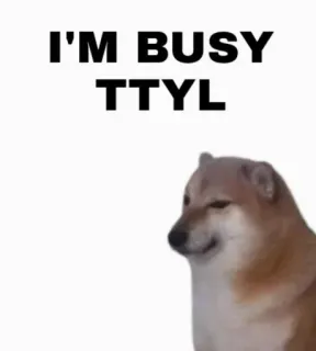 😓 I'M BUSY
TTYL doge, 밈, 바쁨, 나중에 연락할게 telegram sticker