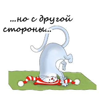 🤪 ...но с другой стороны... cat, whimsical, cartoon, russian, animal, cute telegram sticker